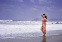Hamsa Nandini Photos